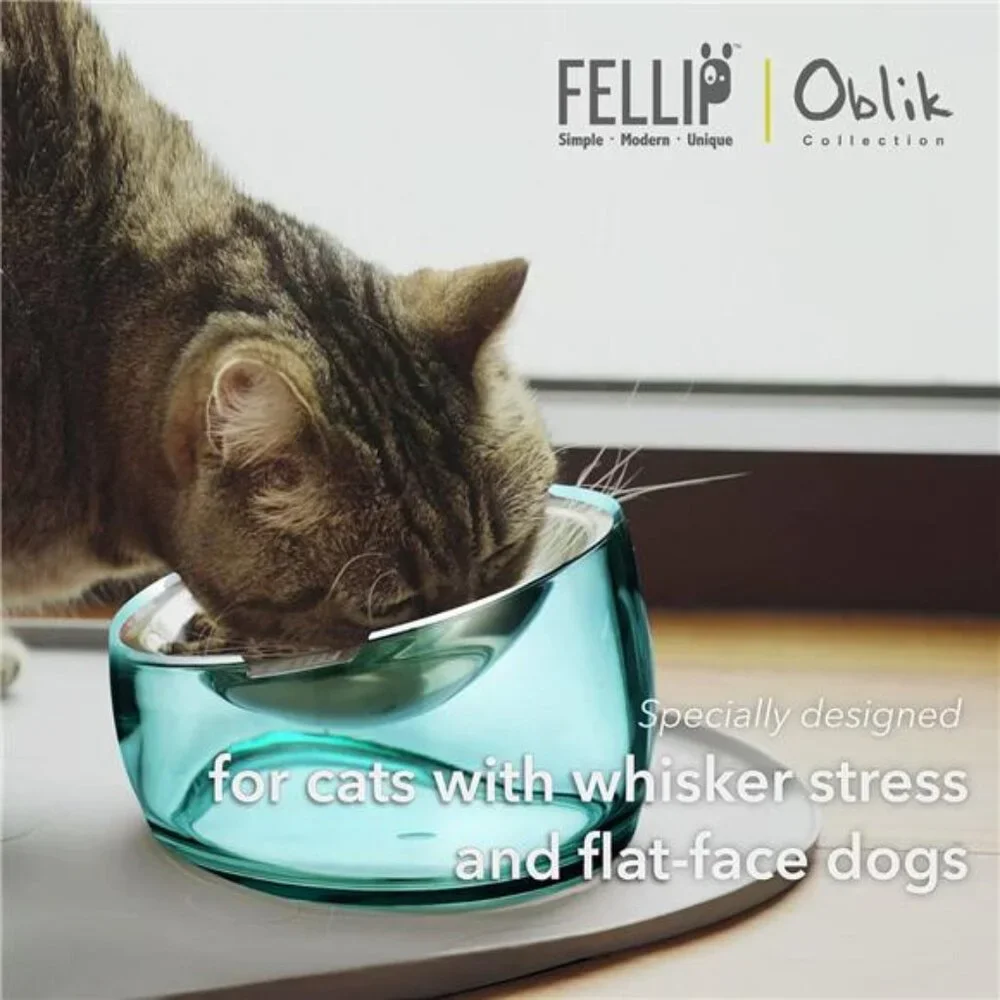 Elevated Cat Bowls Whisker Fatigue Stainless Steel Shallow Dish, Tilted